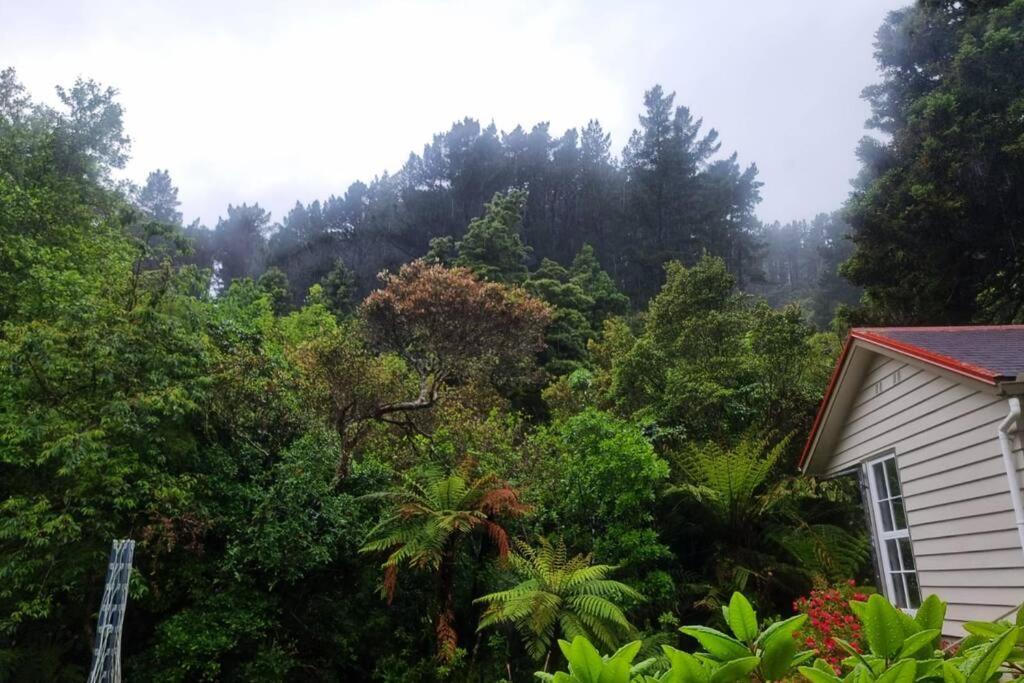 Pinehaven Cottage Upper Hutt Luaran gambar
