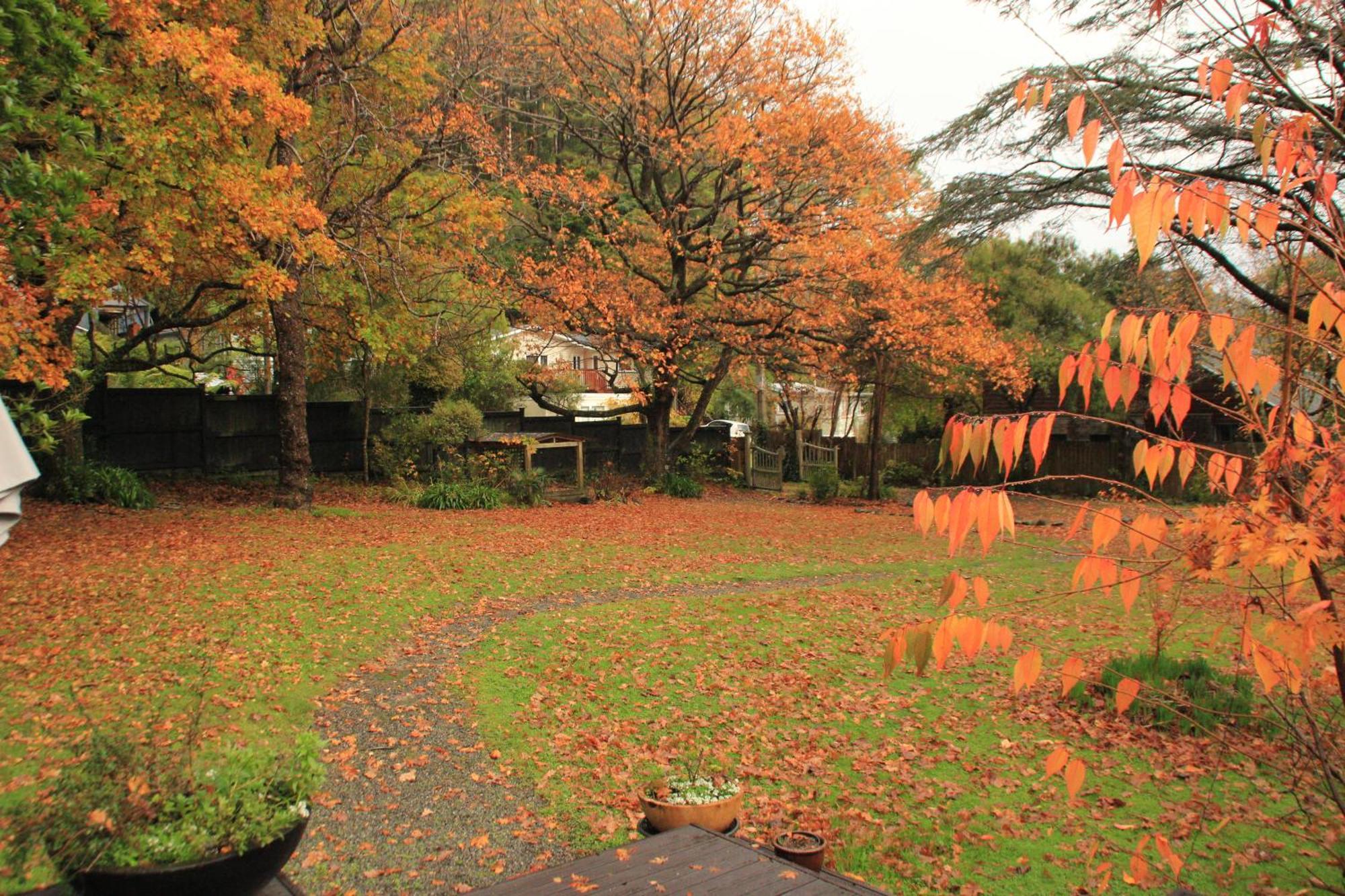 Pinehaven Cottage Upper Hutt Luaran gambar